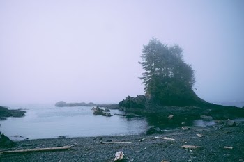 photo of calm sea