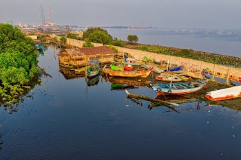 Photo Of Canoes During Daytime