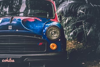 Photo of Car Parked Near Dark Green Plants
