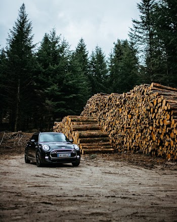 Photo Of Car Parked Near Pile Of Logs