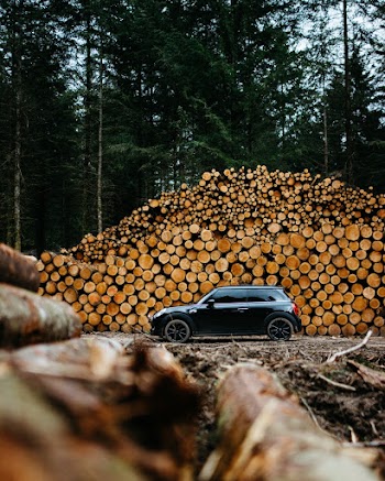 Photo of Car Parked Near Woodpile