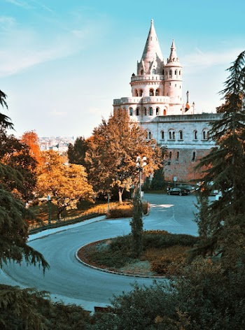 Photo of Castle Near Road and Trees