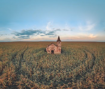 Photo of Cathedral Surrounded With Plants Under Blue Sky
