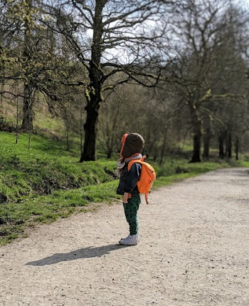 Photo of Child Wearing Backpack Near Bare Trees