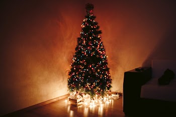 Photo of Christmas Tree During Night