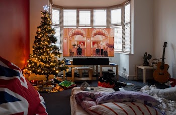 Photo Of Christmas Tree Near Window