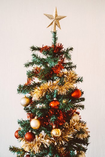 Photo Of Christmas Tree With Decorations