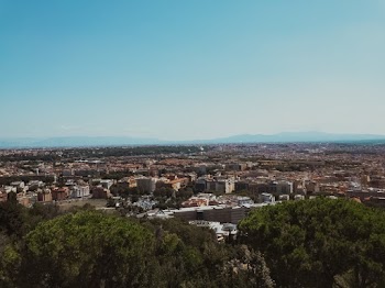 Photo of City Buildings
