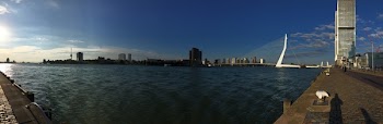 Photo of City Skyline
