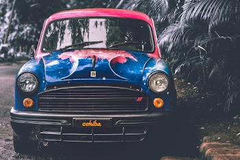 Photo of Classic Car Parked Near Dark Green Plants