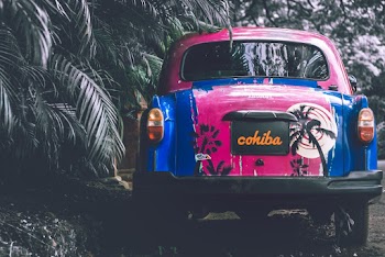 Photo of Classic Car Parked Near Dark Green Plants