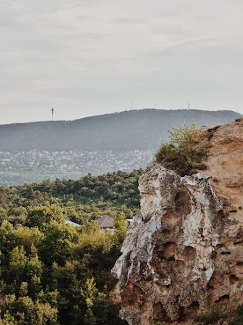 Photo of Cliff Overlooking Forest
