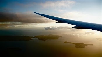 photo of commercial plane wing
