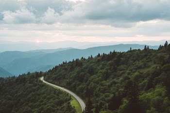 photo of concrete pavement surrounded by trees