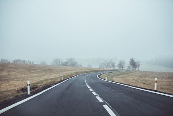 photo of concrete road and bare trees with covered with fogs under gray sky