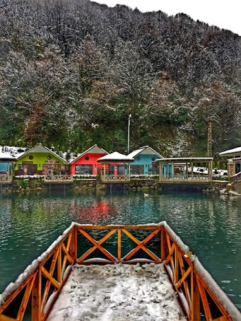 Photo of Cottages Beside Sea Surrounded by Plants