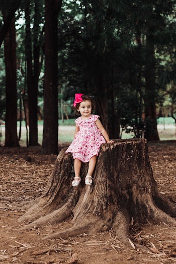 Photo of Cute Little Girl in Pink Floral Dress Sitting on Tree Stump