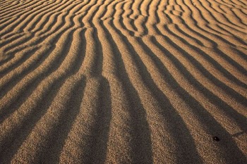 photo of desert dunes