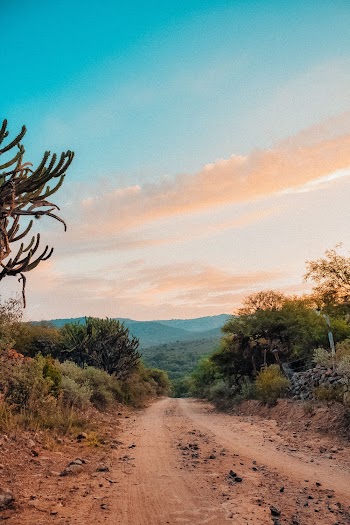 Photo of Dirt Road During Dusk