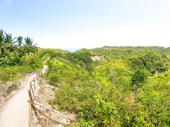 Photo of Dirt Road Surrounded by Trees