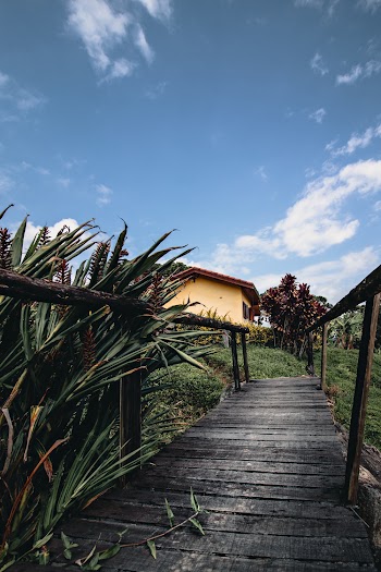 Photo of Dock Beside Plant