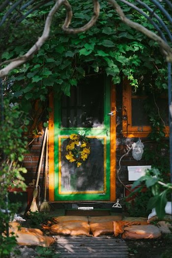 Photo of Door Near Plants