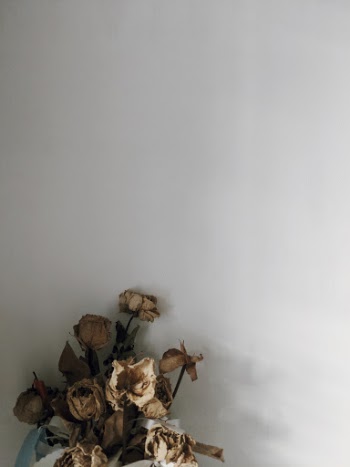 Photo of Dried Roses