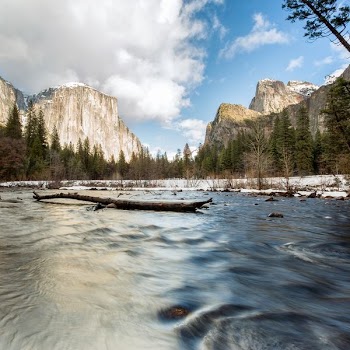 photo of driftwood on water