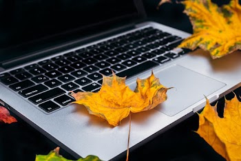 Photo of Dry Leaf on Laptop