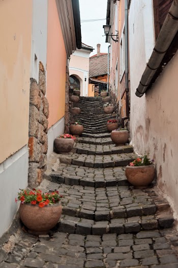 Photo of Empty Alley Stairway in Between Buildings