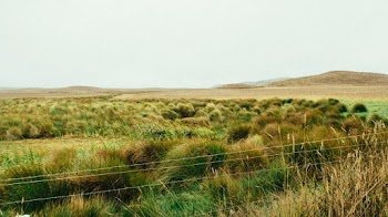 Photo of Empty Grassland
