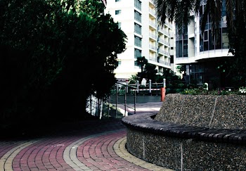 Photo of Empty Pathway Near Trees