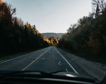 Photo of Empty Road Near Trees