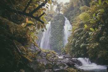 Photo of Falls Surrounded With Green Trees