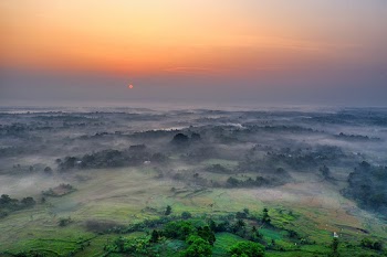Photo of Farmland During Golden Hour