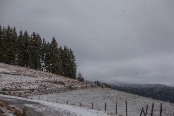 Photo of Field Near Green Trees