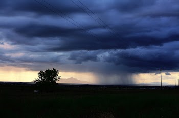 Photo of Field Under Cloudy Sky