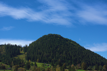 Photo of Fir Trees On Mountain