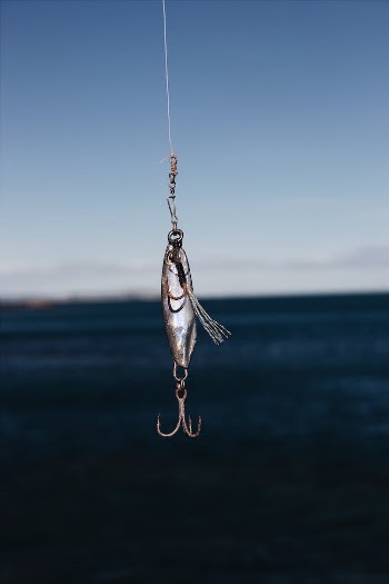 Photo of Fish Bait