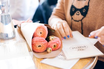 Photo of Flowers on the Table