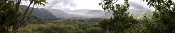 Photo Of Forest