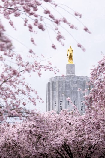 Photo of Gold Statue on Top of Concrete Building