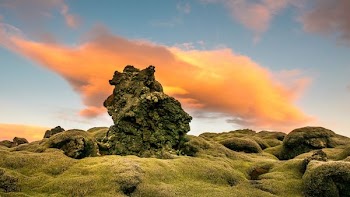 photo of grass covered rocks