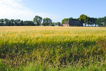 Photo of Grass Field 