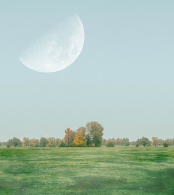 Photo Of Grass Field During Daytime