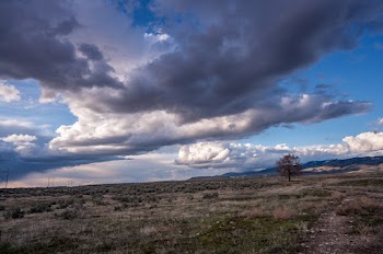 Photo of Grass Field Under Cloudy Sky