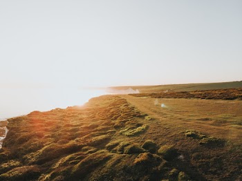 Photo of Grassland