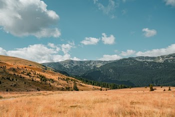 Photo of Grassland
