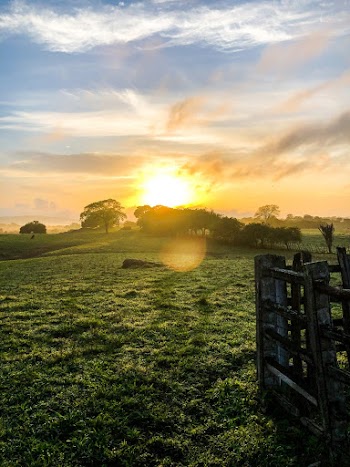Photo of Grassland