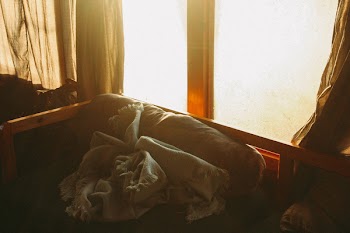 Photo of Gray Blanket on Sofa 